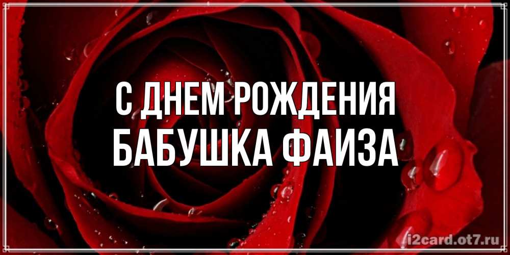 Открытка на каждый день с именем, Бабушка-Фаиза С днем рождения крупная бордовая роза Прикольная открытка с пожеланием онлайн скачать бесплатно 