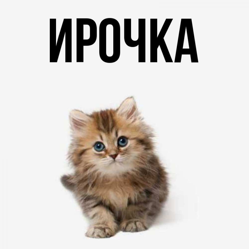 Картинка  с именем , ирочка