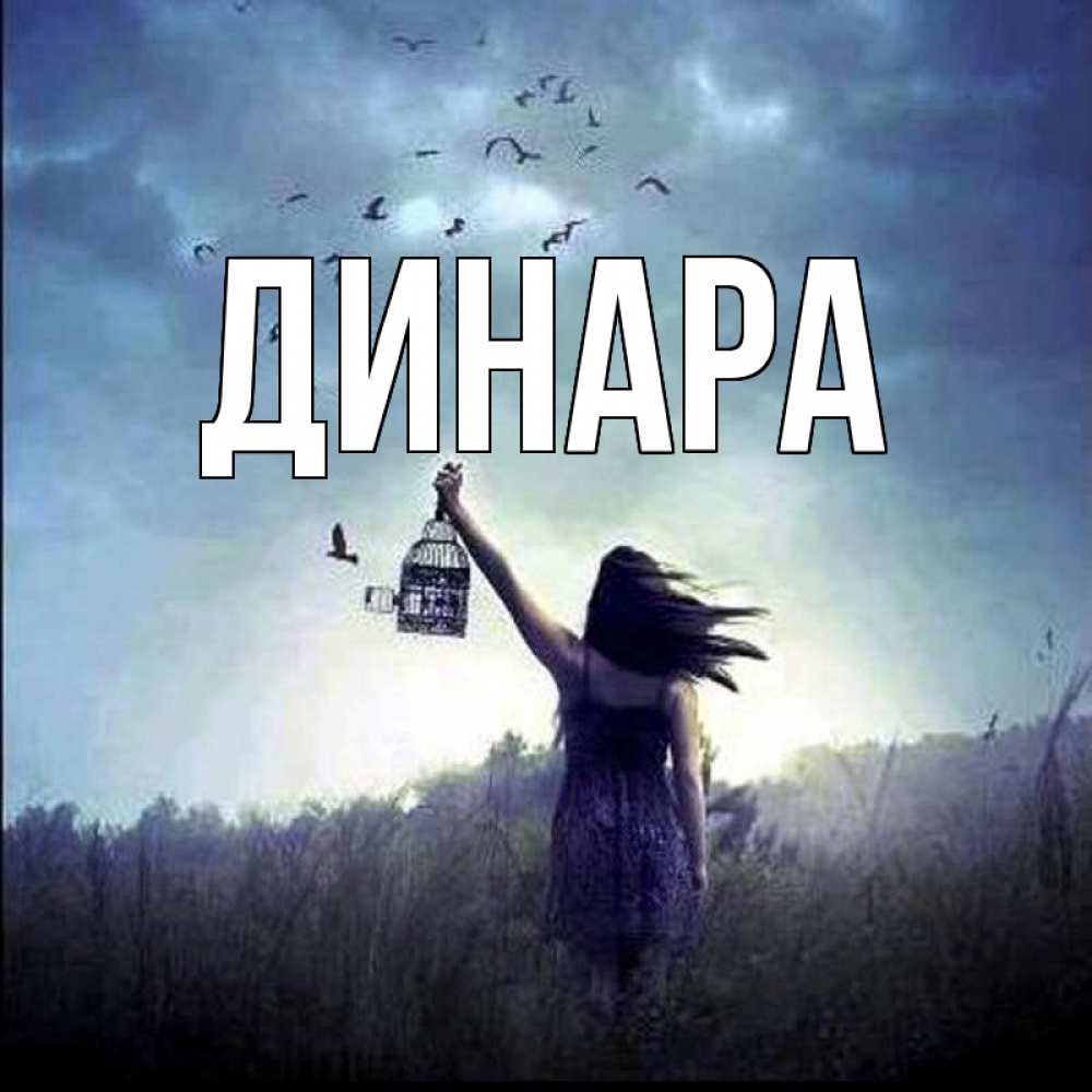 Открытка на каждый день с именем, Динара Главная на волю Прикольная открытка с пожеланием онлайн скачать бесплатно 