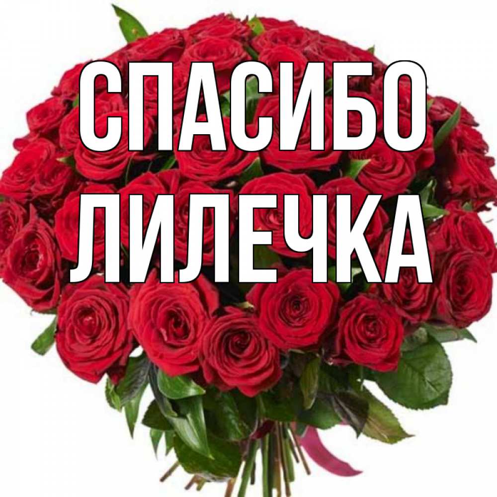 Спасибо лилечка картинки красивые