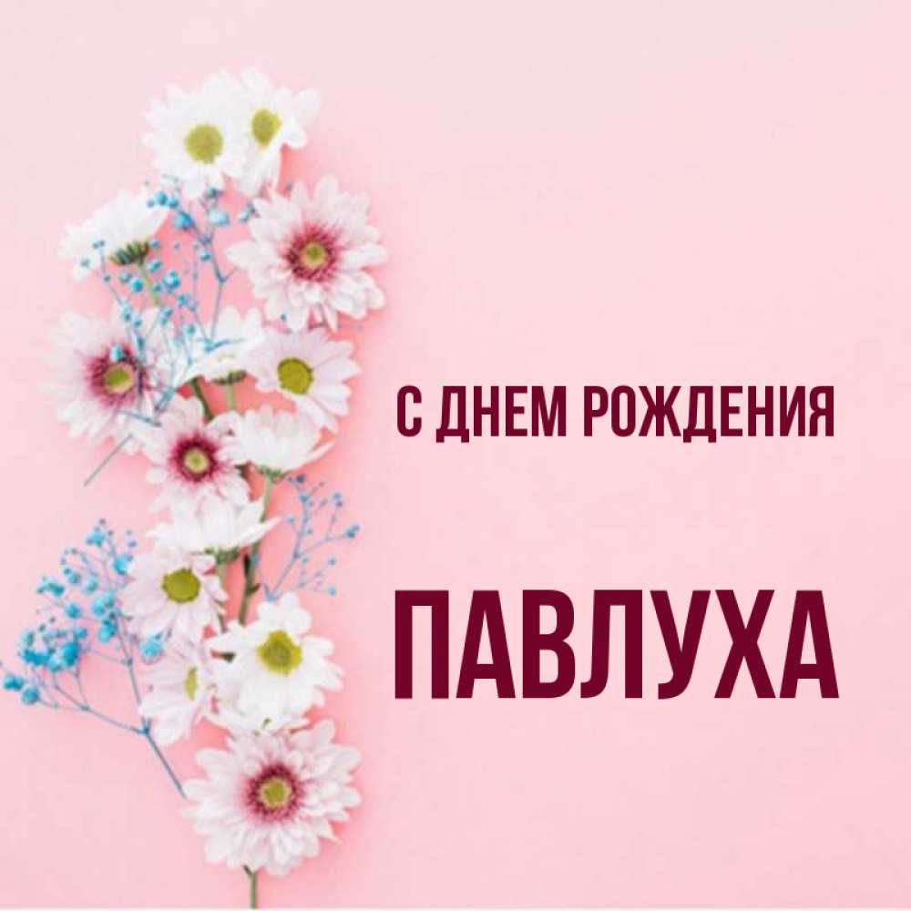 С днем рождения павлуха картинки прикольные