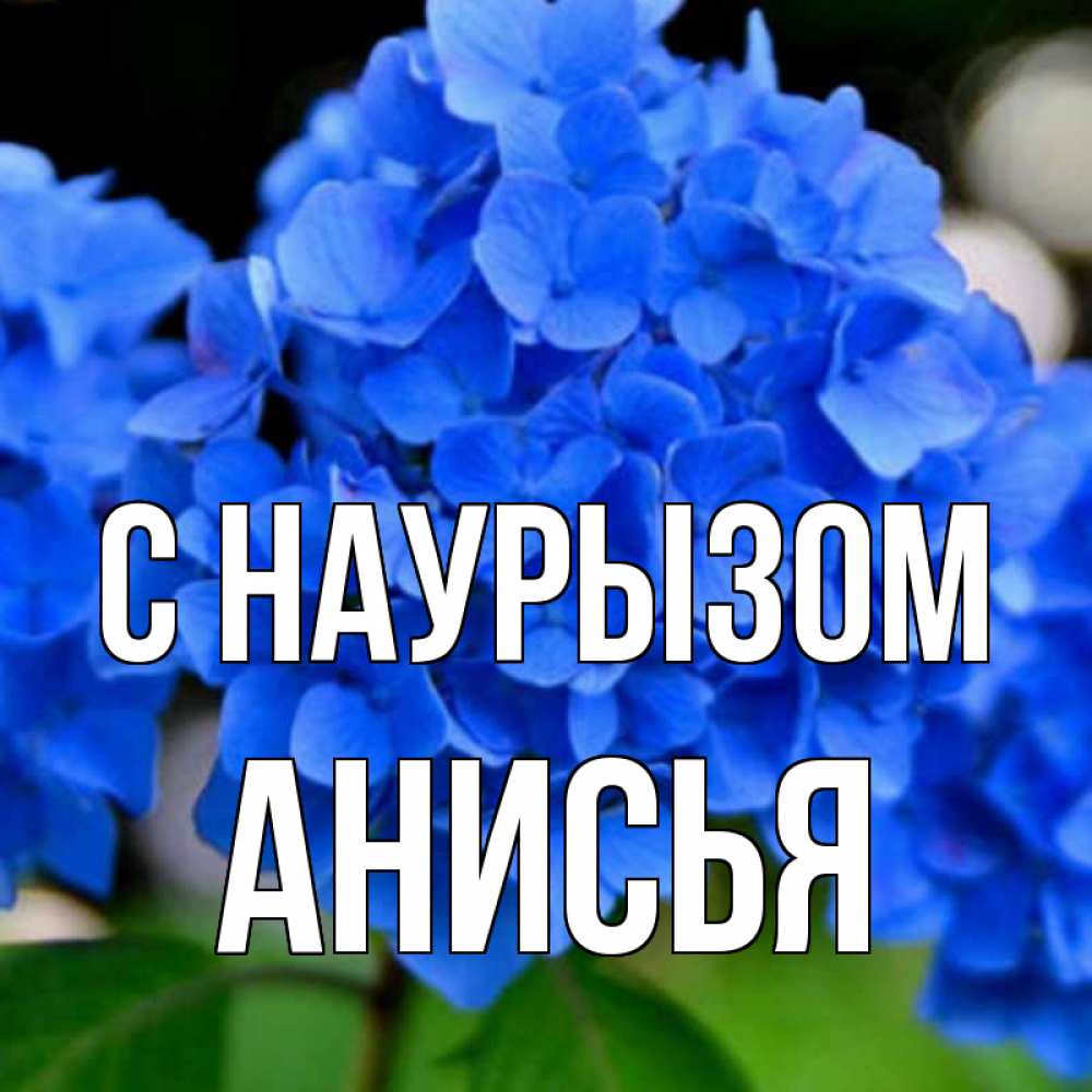 Открытка на каждый день с именем, Анисья С наурызом синие цветы Прикольная открытка с пожеланием онлайн скачать бесплатно 