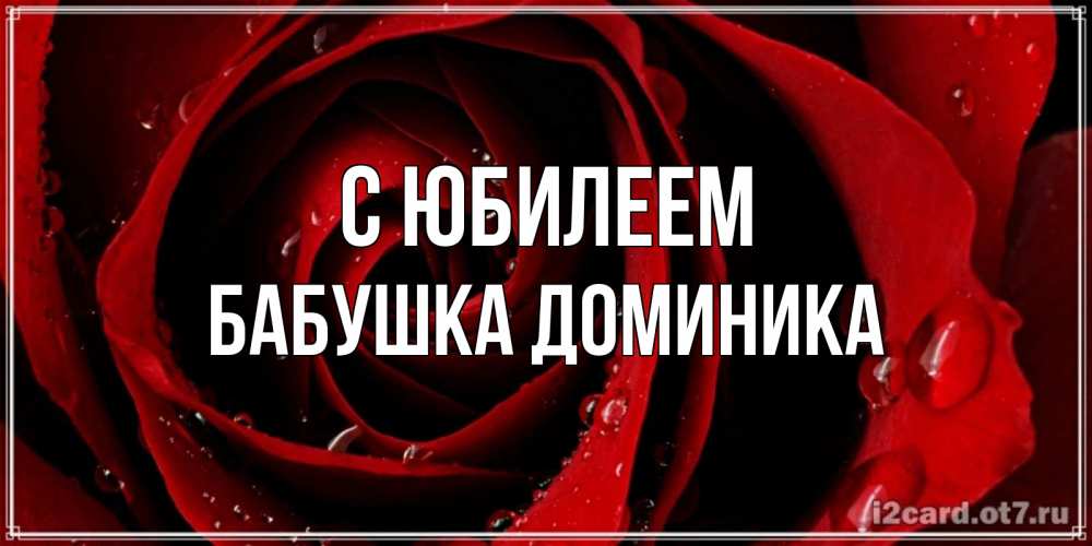 Открытка на каждый день с именем, Бабушка-Доминика С юбилеем крупная бордовая роза Прикольная открытка с пожеланием онлайн скачать бесплатно 