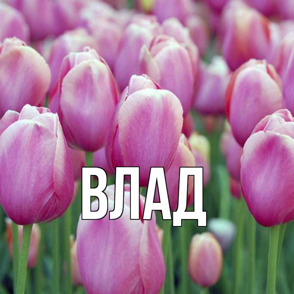 Открытка на каждый день с именем, Влад Главная на международный женский день 3 Прикольная открытка с пожеланием онлайн скачать бесплатно 