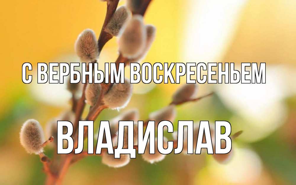 Открытка на каждый день с именем, Владислав С вербным воскресеньем верба Прикольная открытка с пожеланием онлайн скачать бесплатно 