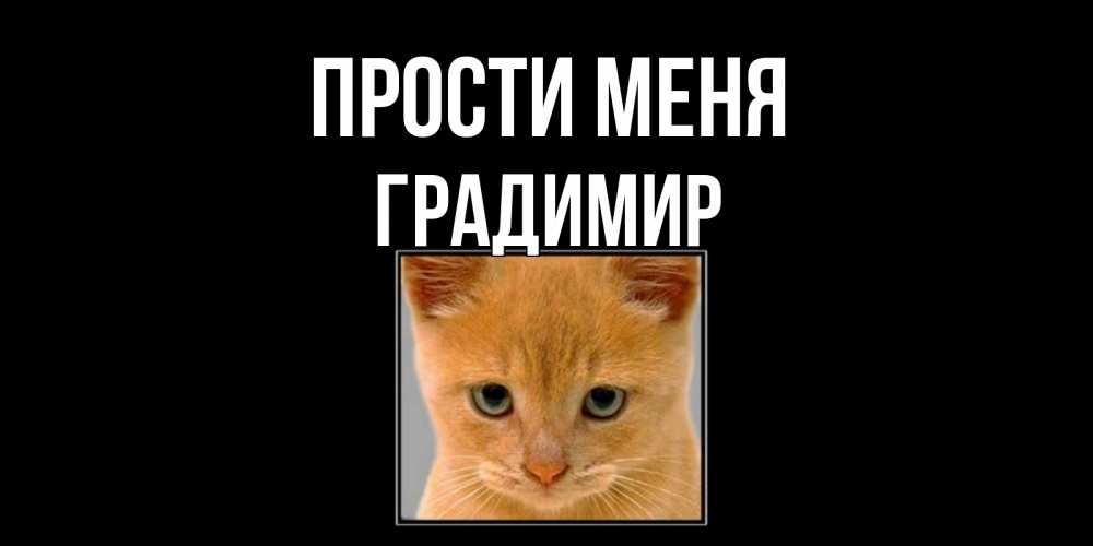Открытка на каждый день с именем, Градимир Прости меня рыжий грустный кот просит прощения Прикольная открытка с пожеланием онлайн скачать бесплатно 