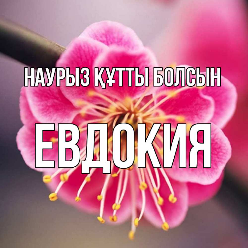 Открытка на каждый день с именем, Евдокия Наурыз құтты болсын цветы Прикольная открытка с пожеланием онлайн скачать бесплатно 