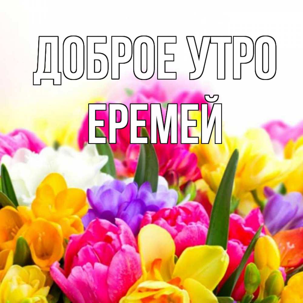 Открытка на каждый день с именем, Еремей Доброе утро создать открытку со свое подписью Прикольная открытка с пожеланием онлайн скачать бесплатно 