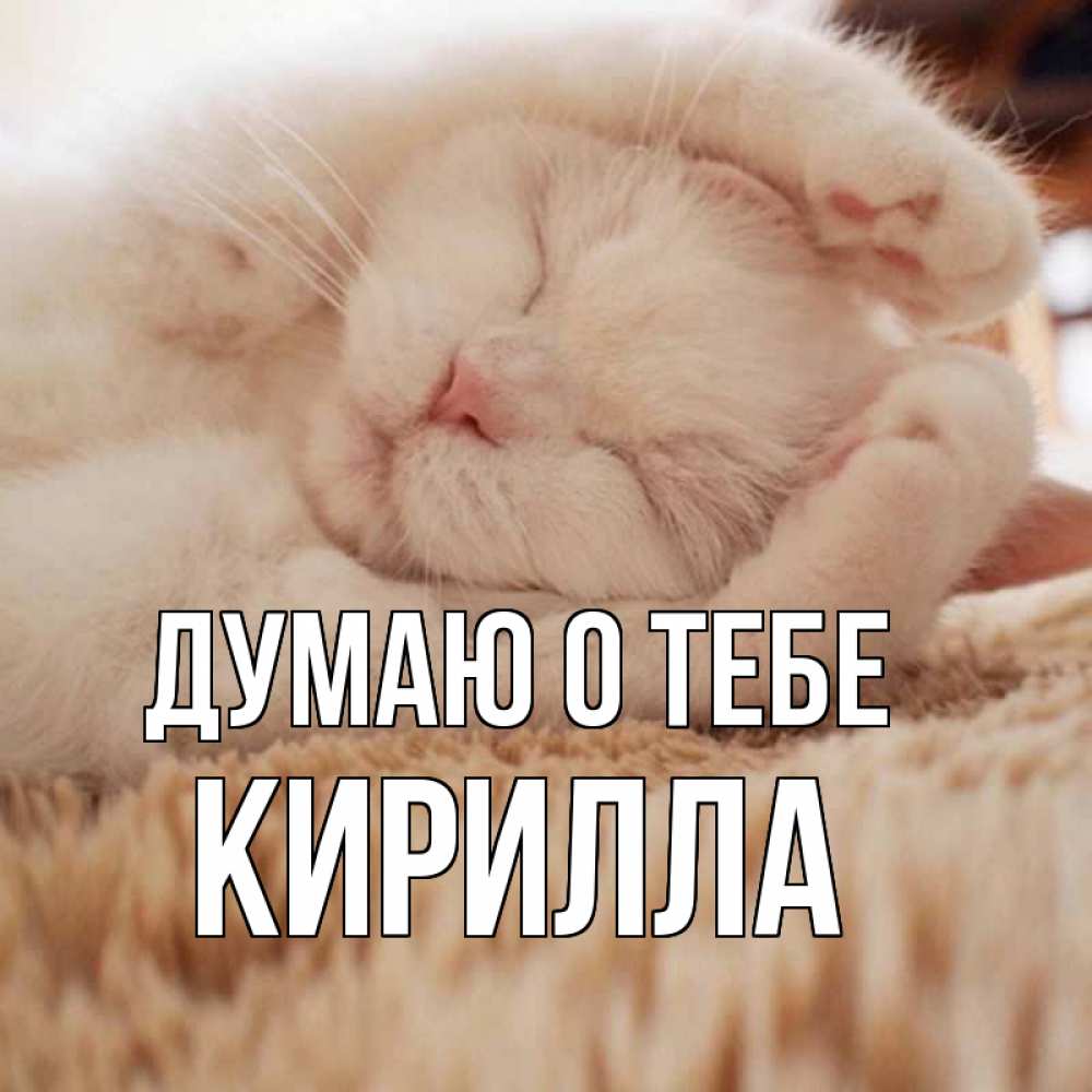 Открытка на каждый день с именем, Кирилла Думаю о тебе для любимой девушки милота Прикольная открытка с пожеланием онлайн скачать бесплатно 