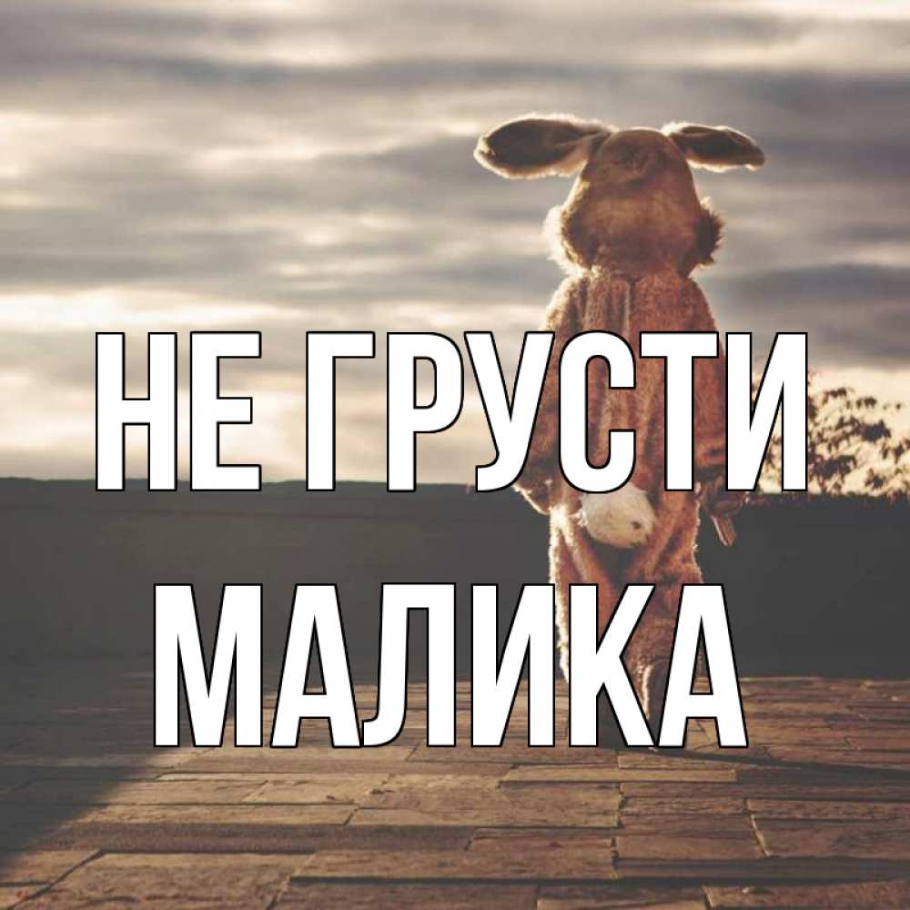 Открытка на каждый день с именем, Малика Не грусти со спины Прикольная открытка с пожеланием онлайн скачать бесплатно 