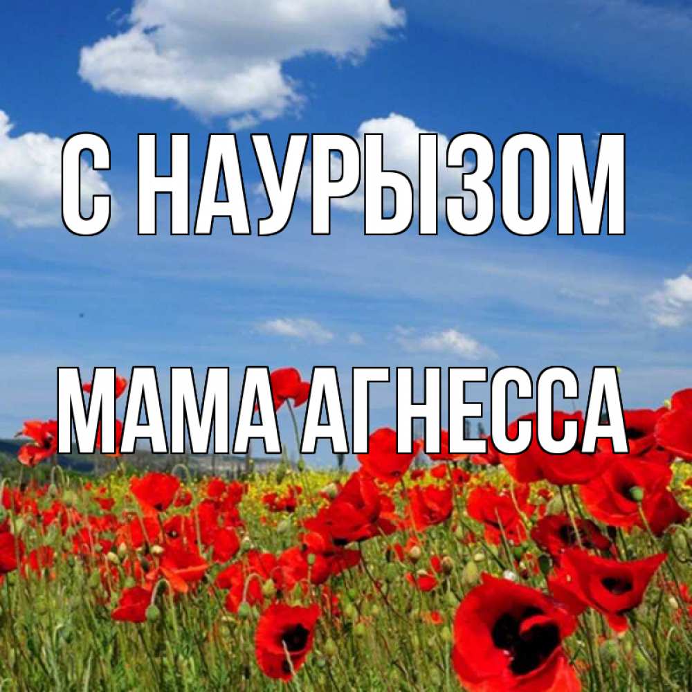 Открытка на каждый день с именем, Мама-Агнесса С наурызом праздник весны наурыз очень красивая картинка Прикольная открытка с пожеланием онлайн скачать бесплатно 