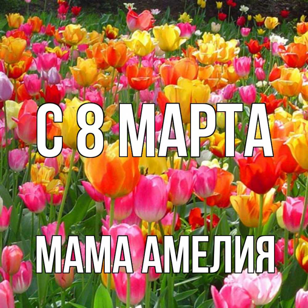 Открытка на каждый день с именем, Мама-Амелия С 8 МАРТА на международный женский день Прикольная открытка с пожеланием онлайн скачать бесплатно 