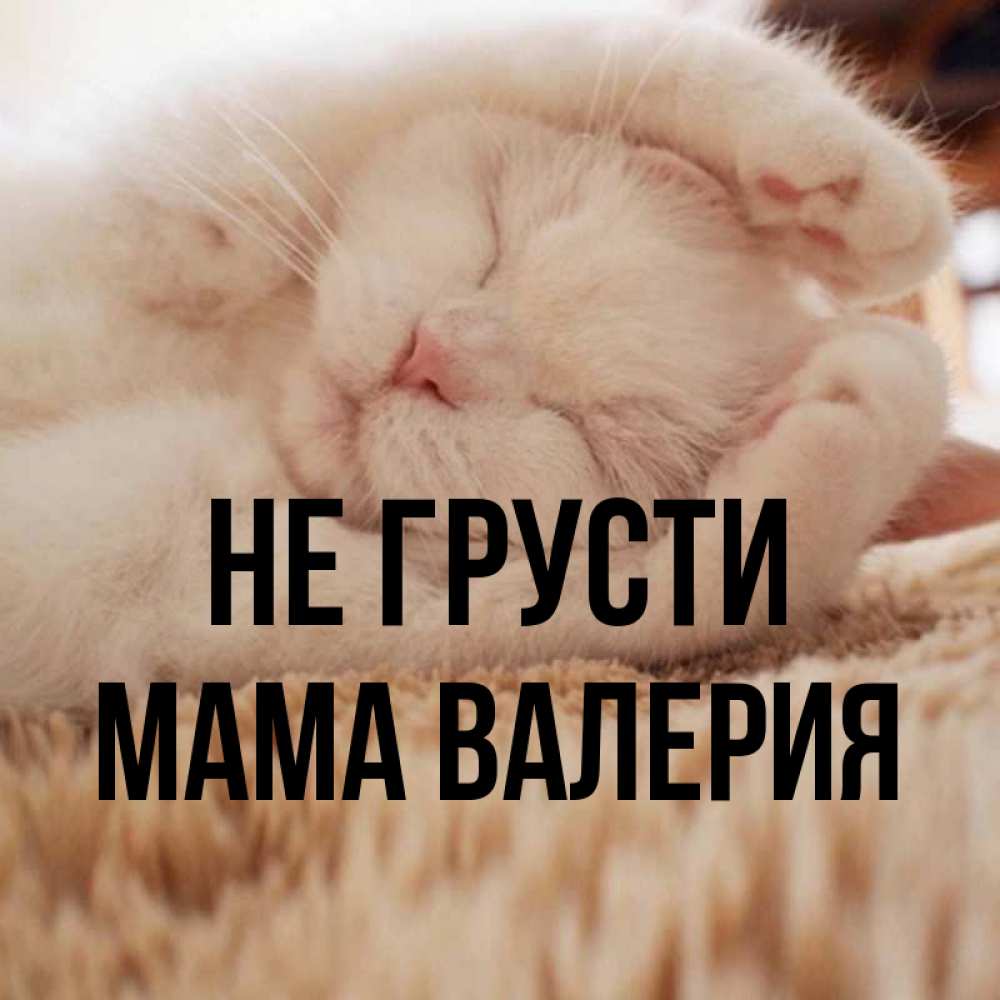 Открытка на каждый день с именем, Мама-Валерия Не грусти Котенок спит Прикольная открытка с пожеланием онлайн скачать бесплатно 