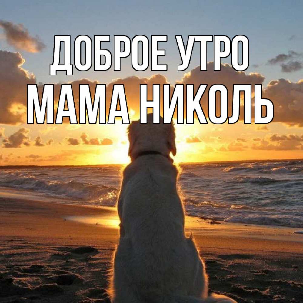 Открытка на каждый день с именем, Мама-Николь Доброе утро восход солнца Прикольная открытка с пожеланием онлайн скачать бесплатно 
