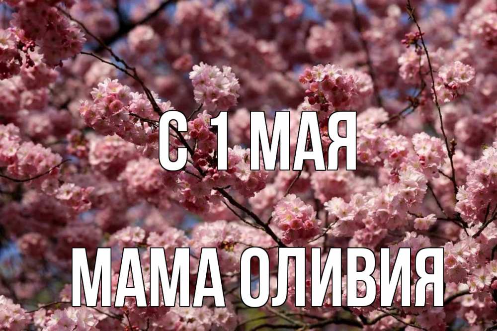 Открытка на каждый день с именем, Мама-Оливия С 1 мая С 1 мая Прикольная открытка с пожеланием онлайн скачать бесплатно 