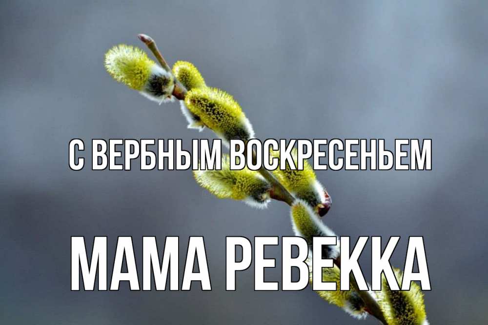 Открытка на каждый день с именем, Мама-Ревекка С вербным воскресеньем верба Прикольная открытка с пожеланием онлайн скачать бесплатно 