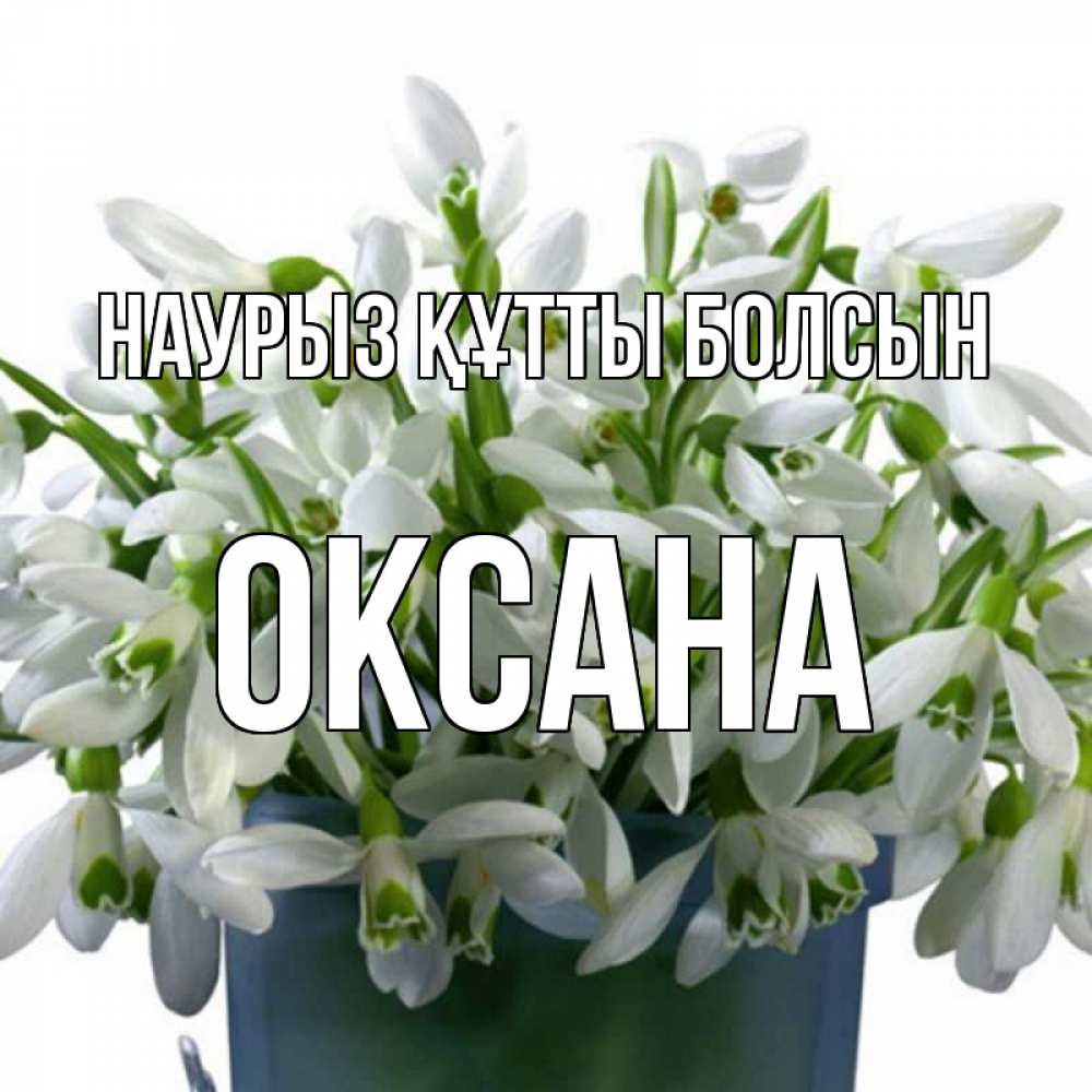 Открытка на каждый день с именем, Оксана Наурыз құтты болсын цветы к наурызу Прикольная открытка с пожеланием онлайн скачать бесплатно 