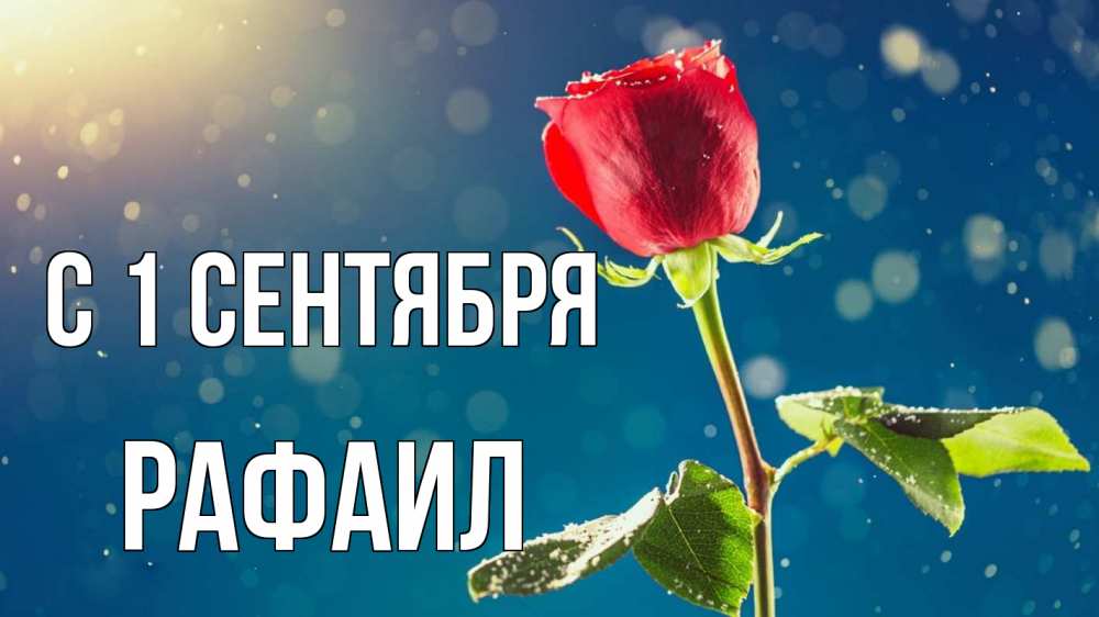 Открытка на каждый день с именем, Рафаил С 1 сентября с днем знаний Прикольная открытка с пожеланием онлайн скачать бесплатно 