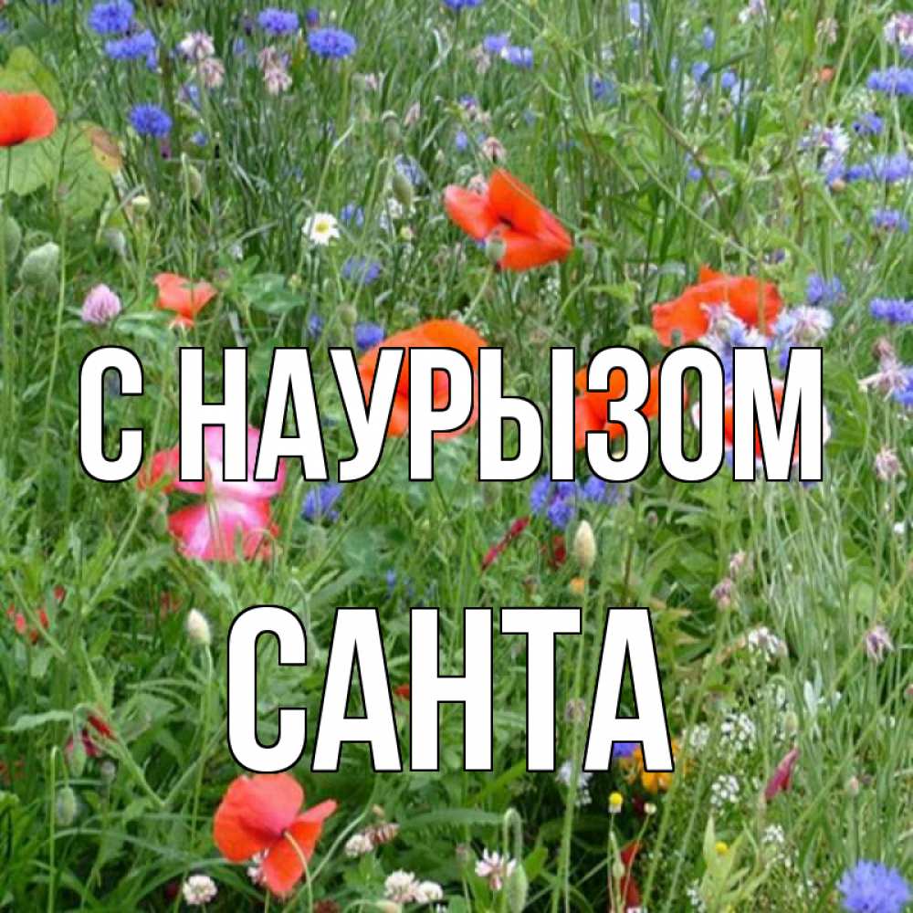 Открытка на каждый день с именем, Санта С наурызом праздник весны наурыз супер открытка Прикольная открытка с пожеланием онлайн скачать бесплатно 