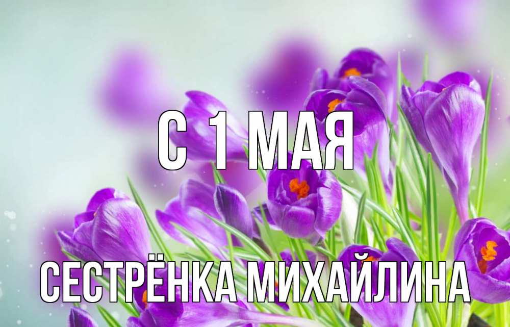 Открытка на каждый день с именем, Сестрёнка-Михайлина С 1 мая 1 мая Прикольная открытка с пожеланием онлайн скачать бесплатно 