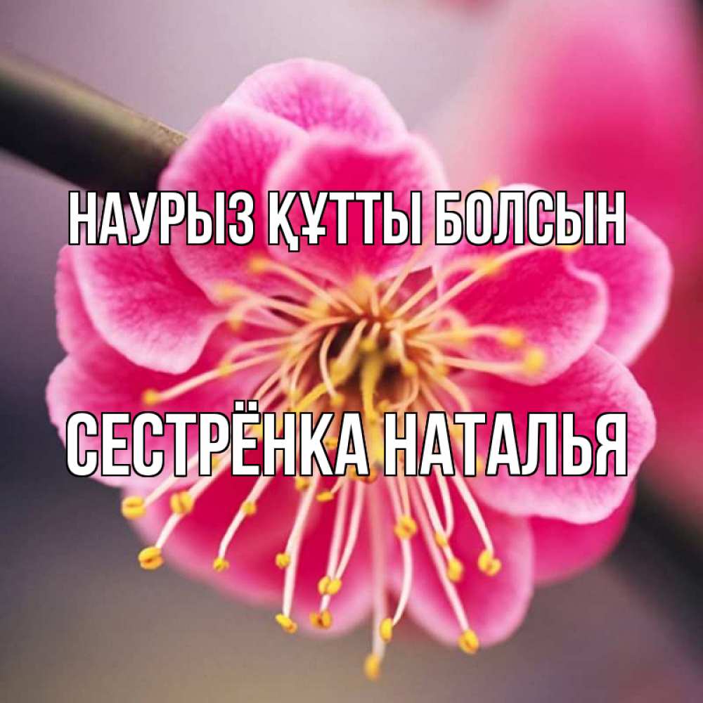 Открытка на каждый день с именем, Сестрёнка-Наталья Наурыз құтты болсын цветы Прикольная открытка с пожеланием онлайн скачать бесплатно 