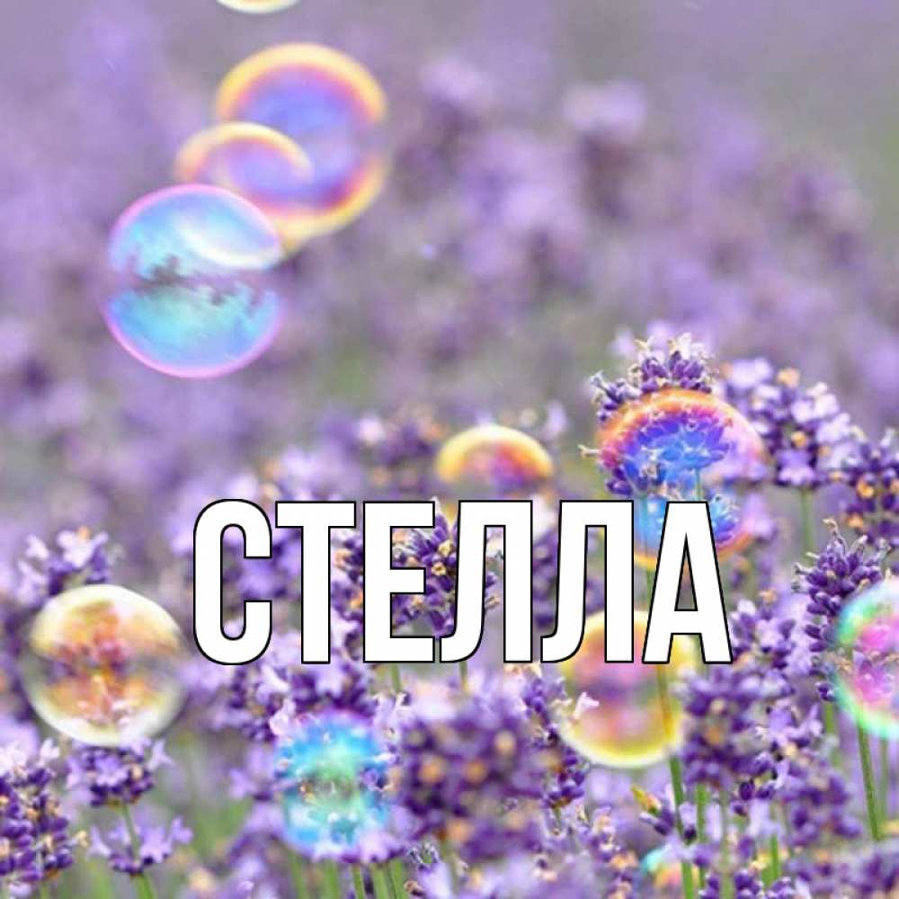 Открытка на каждый день с именем, Стелла Главная цветы Прикольная открытка с пожеланием онлайн скачать бесплатно 