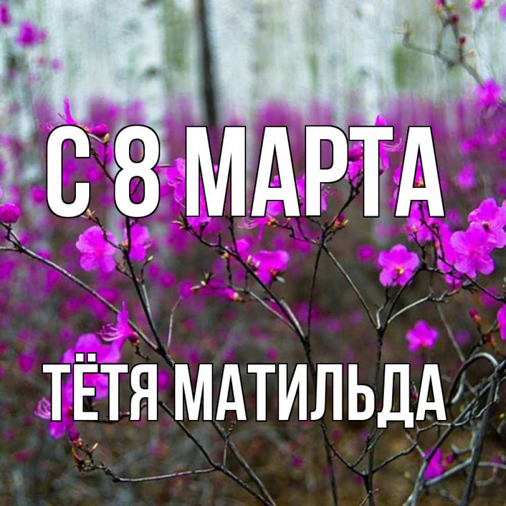 Открытка на каждый день с именем, Тётя-Матильда С 8 МАРТА дикие цветы Прикольная открытка с пожеланием онлайн скачать бесплатно 