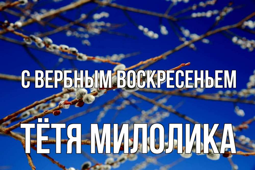 Открытка на каждый день с именем, Тётя-Милолика С вербным воскресеньем верба Прикольная открытка с пожеланием онлайн скачать бесплатно 