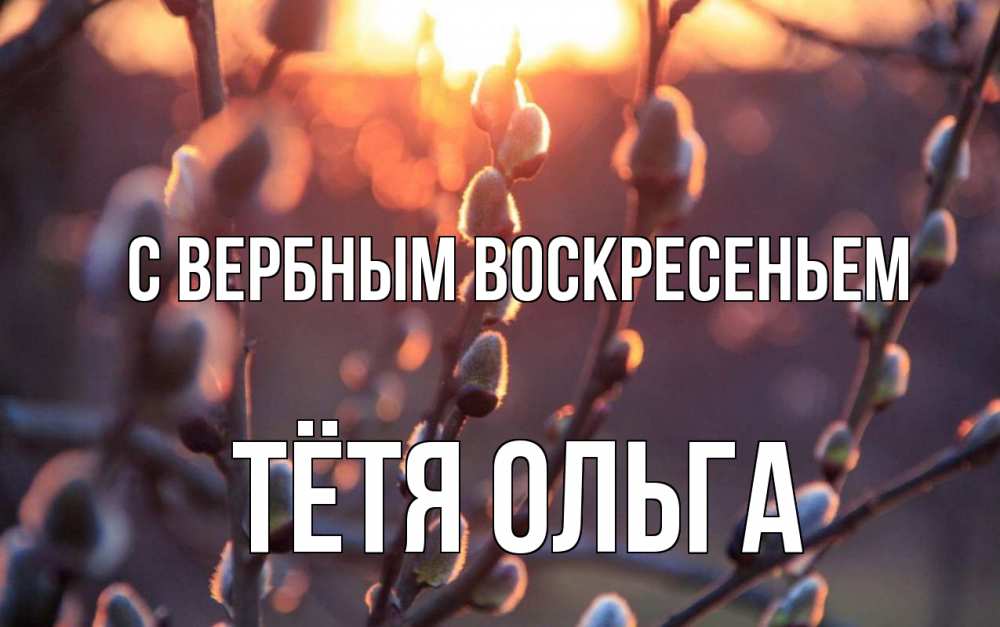 Открытка на каждый день с именем, Тётя-Ольга С вербным воскресеньем верба Прикольная открытка с пожеланием онлайн скачать бесплатно 