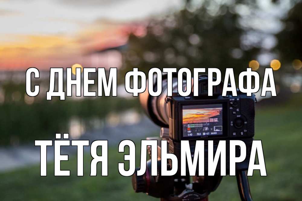 Открытка на каждый день с именем, Тётя-Эльмира С днем фотографа с днем фотографа Прикольная открытка с пожеланием онлайн скачать бесплатно 