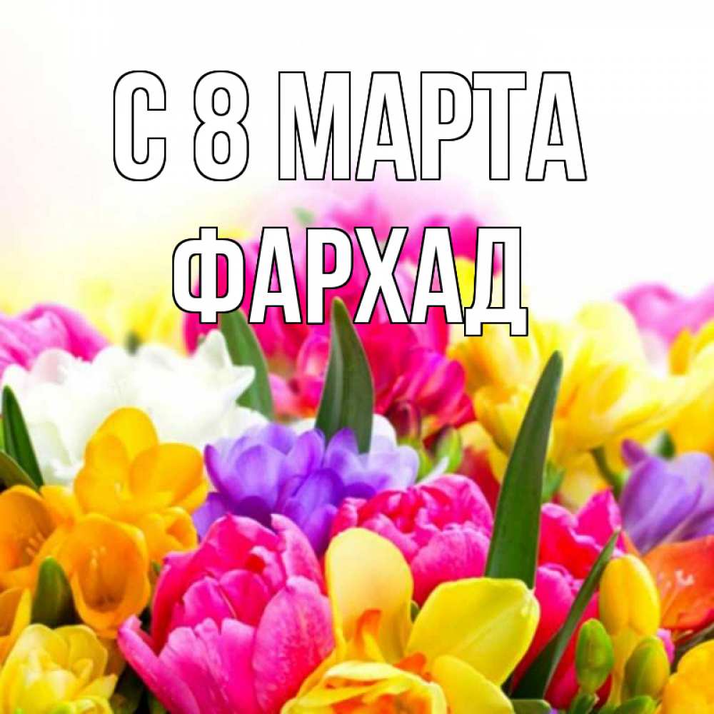 Открытка на каждый день с именем, Фархад С 8 марта тюльпаны Прикольная открытка с пожеланием онлайн скачать бесплатно 