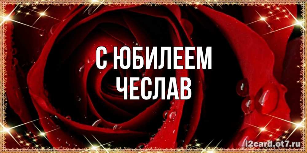 Открытка на каждый день с именем, Чеслав С юбилеем цветок в росе на день рождения Прикольная открытка с пожеланием онлайн скачать бесплатно 