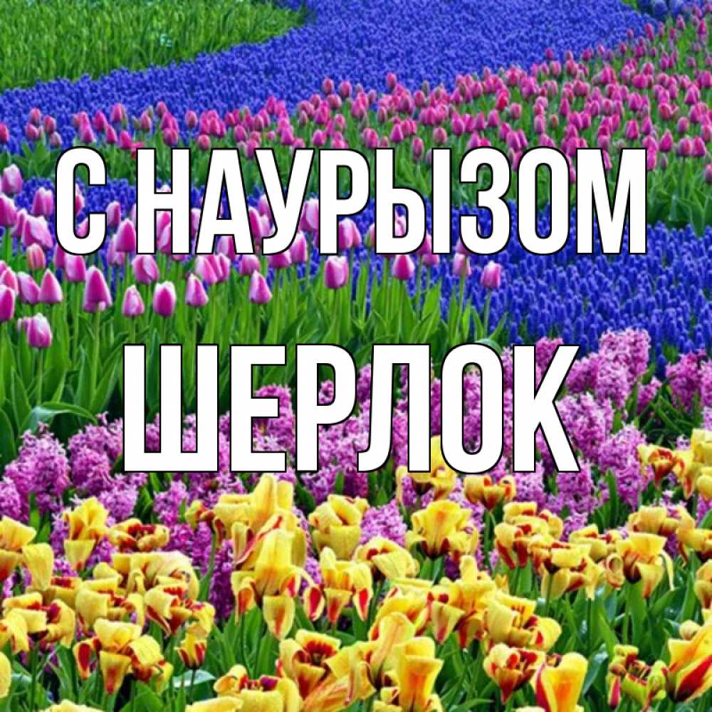 Открытка на каждый день с именем, Шерлок С наурызом цветы Прикольная открытка с пожеланием онлайн скачать бесплатно 