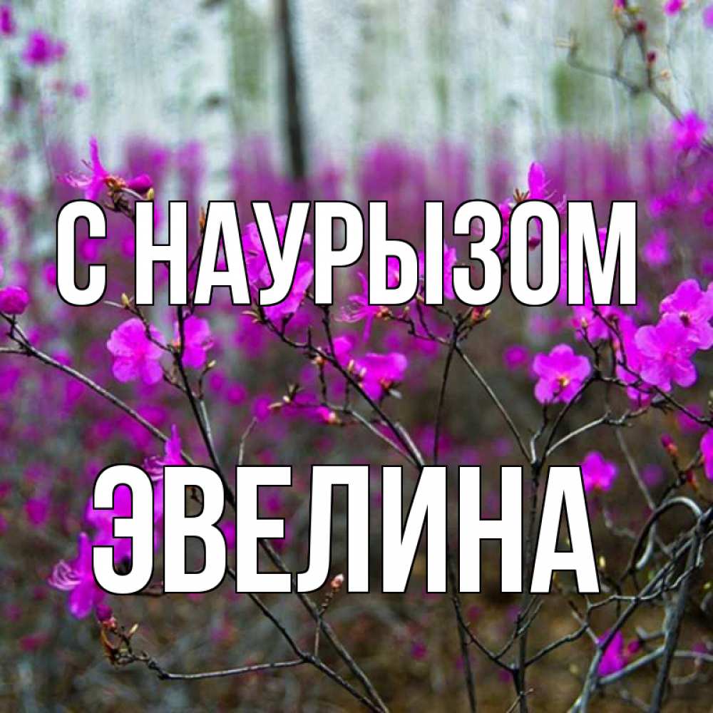 Открытка на каждый день с именем, Эвелина С наурызом дикие цветы Прикольная открытка с пожеланием онлайн скачать бесплатно 