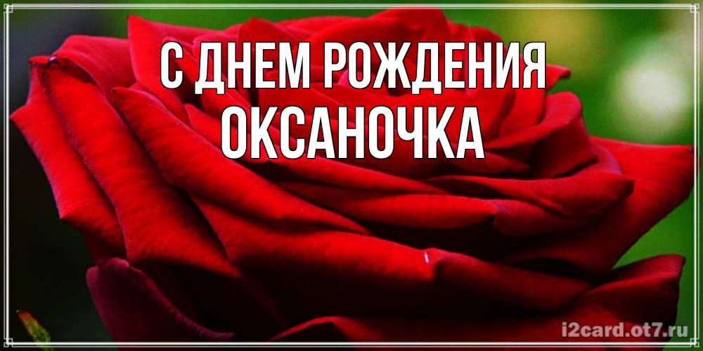 Открытка на каждый день с именем, оксаночка С днем рождения розочка очень красивая Прикольная открытка с пожеланием онлайн скачать бесплатно 