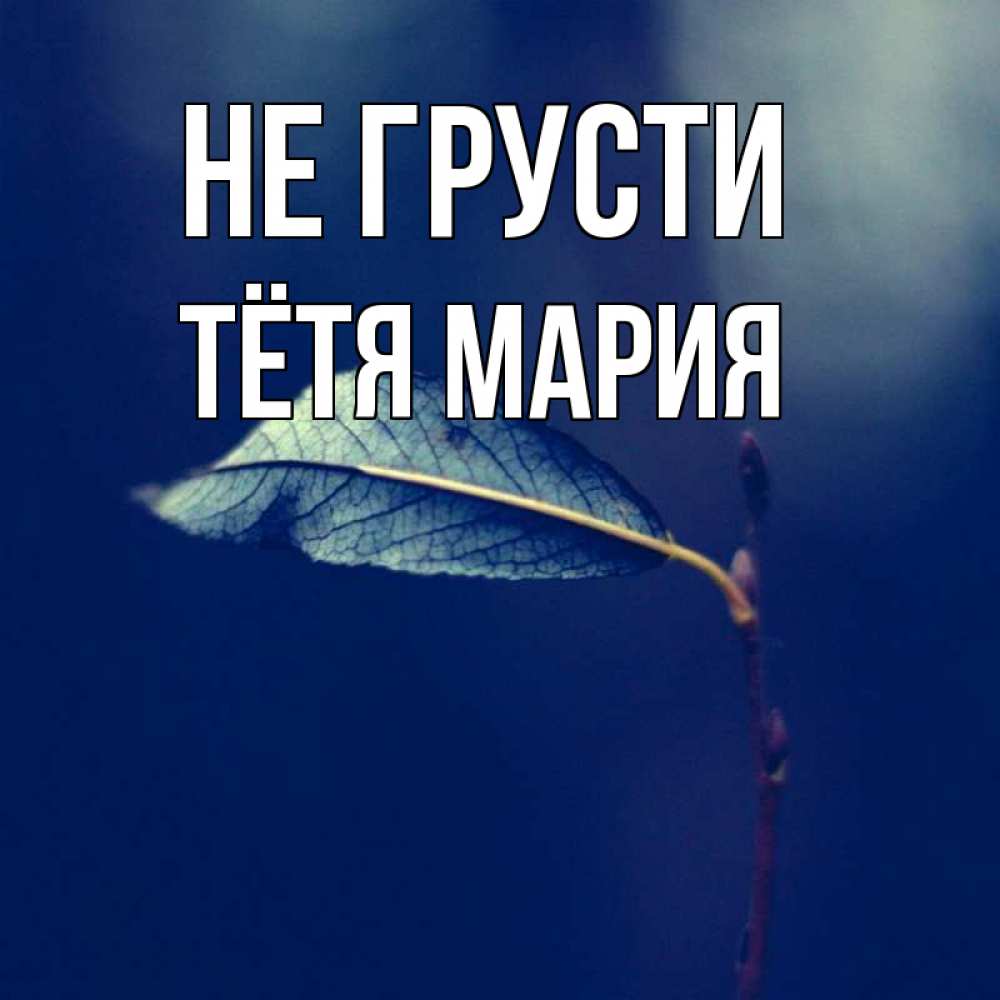 Открытка на каждый день с именем, Тётя-Мария Не грусти растение Прикольная открытка с пожеланием онлайн скачать бесплатно 
