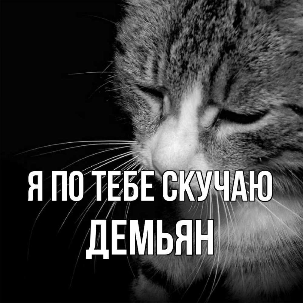 Открытка на каждый день с именем, Демьян Я по тебе скучаю мне скучно Прикольная открытка с пожеланием онлайн скачать бесплатно 