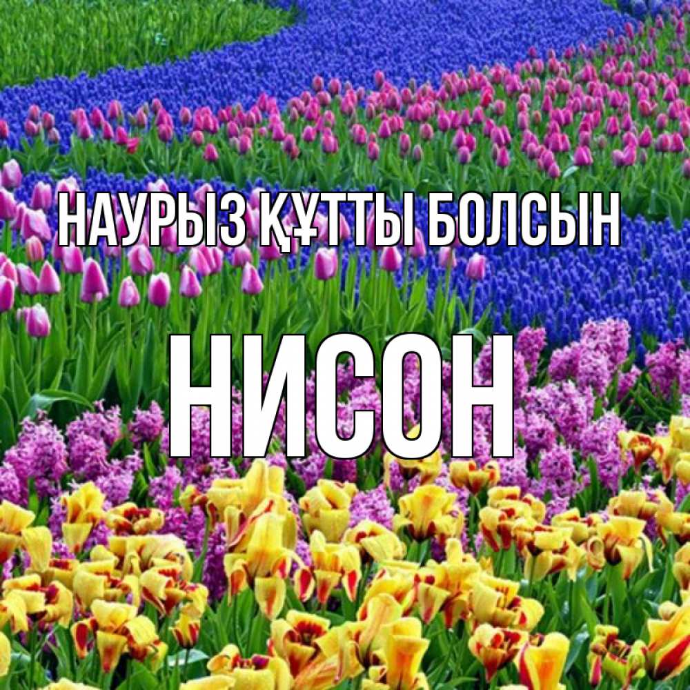Открытка на каждый день с именем, Нисон Наурыз құтты болсын цветы Прикольная открытка с пожеланием онлайн скачать бесплатно 