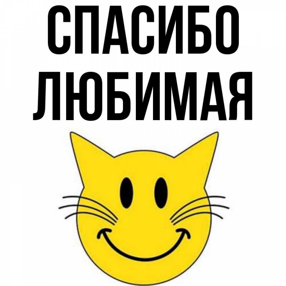 Открытка на каждый день с именем, Спасибо-любимая Спасибо улыбающийся смайл кот Прикольная открытка с пожеланием онлайн скачать бесплатно 