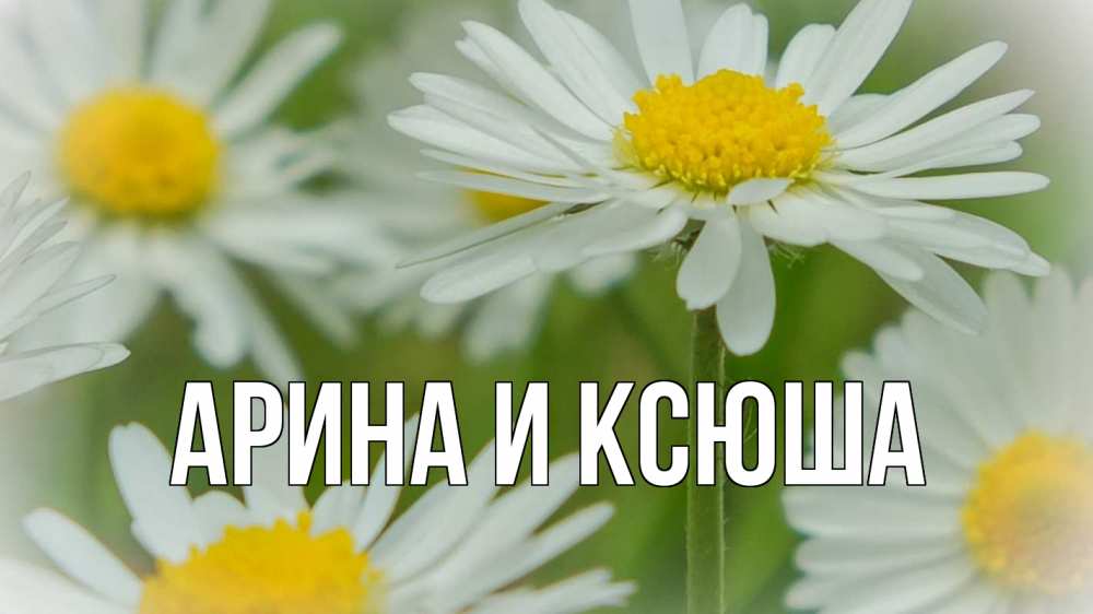 Открытка на каждый день с именем, Арина-и-Ксюша Главная с днем семьи  1 Прикольная открытка с пожеланием онлайн скачать бесплатно 