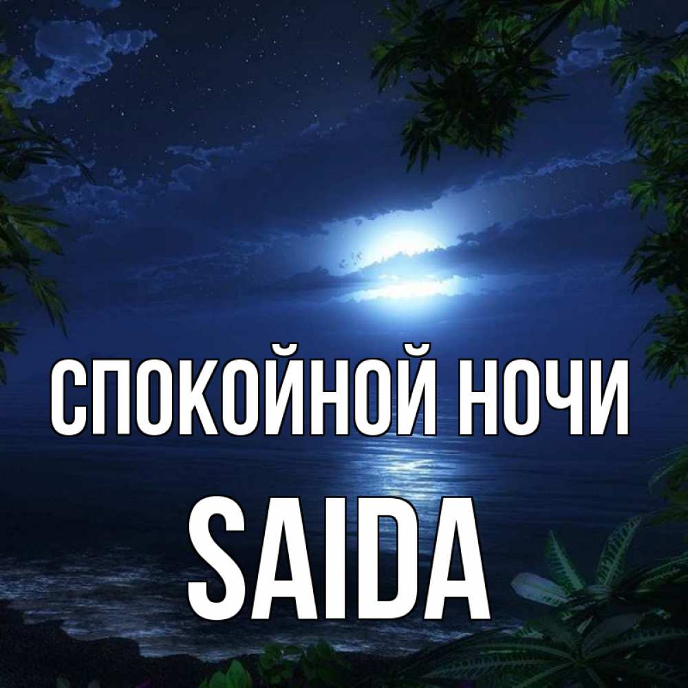 Night sasha. Спокойной ночи Саша.