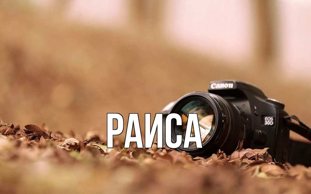 Открытка на каждый день с именем, Раиса Главная с днем фотографа Прикольная открытка с пожеланием онлайн скачать бесплатно 