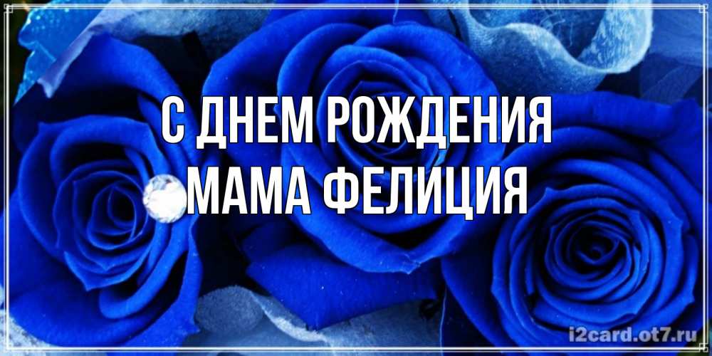 Открытка на каждый день с именем, Мама-Фелиция С днем рождения синие розы в росе Прикольная открытка с пожеланием онлайн скачать бесплатно 