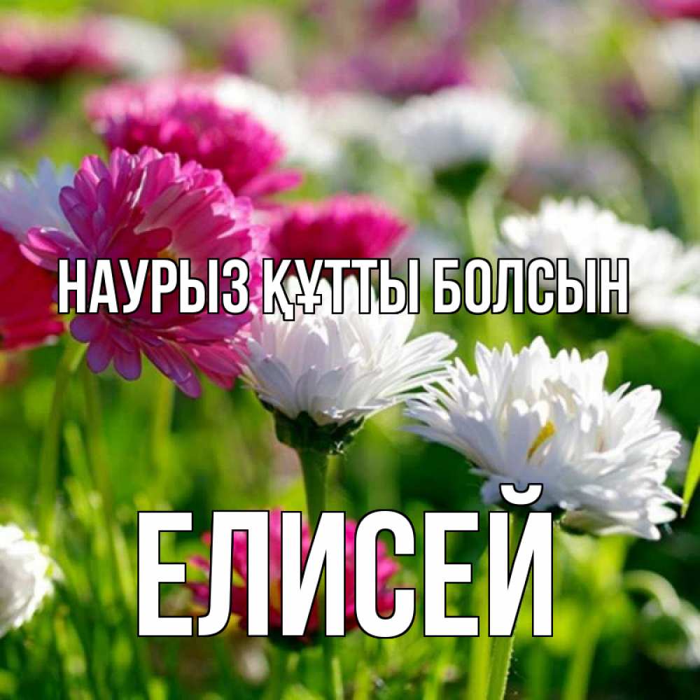 Открытка на каждый день с именем, Елисей Наурыз құтты болсын наурыз Прикольная открытка с пожеланием онлайн скачать бесплатно 