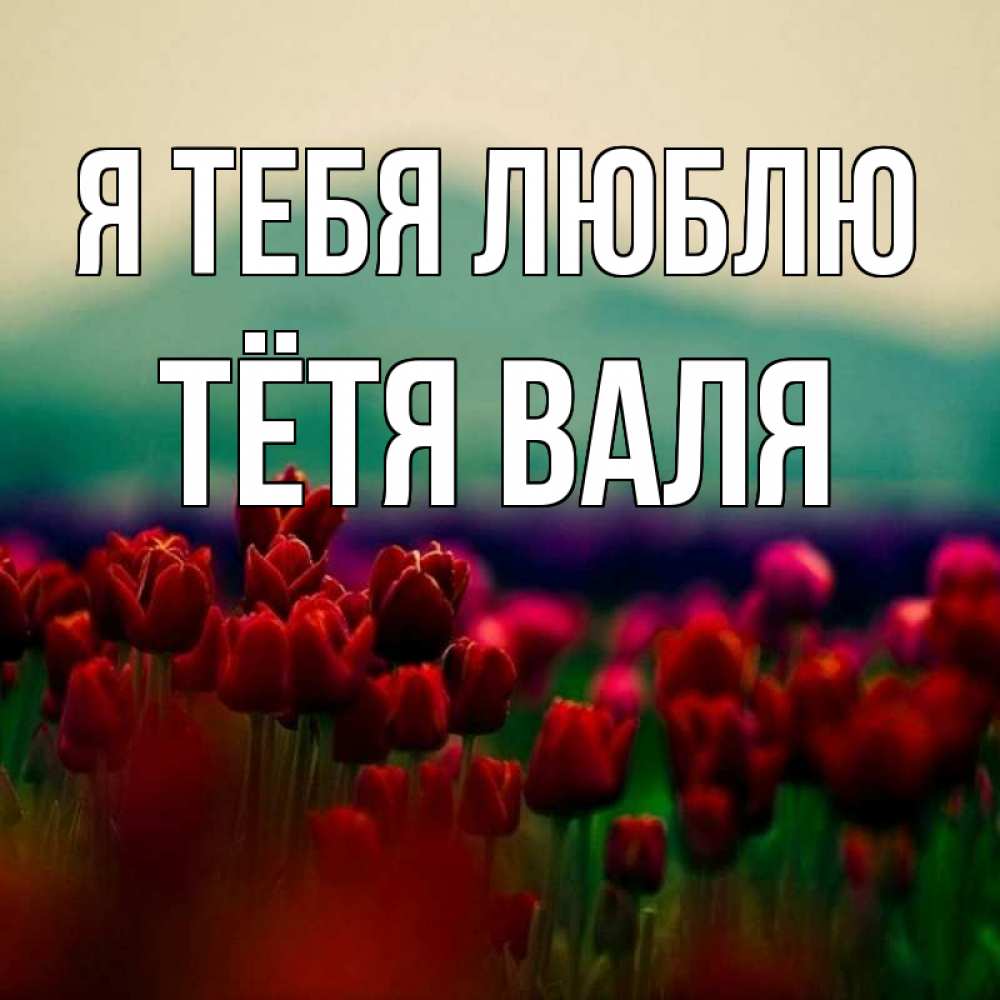 Открытка на каждый день с именем, Тётя-Валя Я тебя люблю тюльпаны 4 Прикольная открытка с пожеланием онлайн скачать бесплатно 