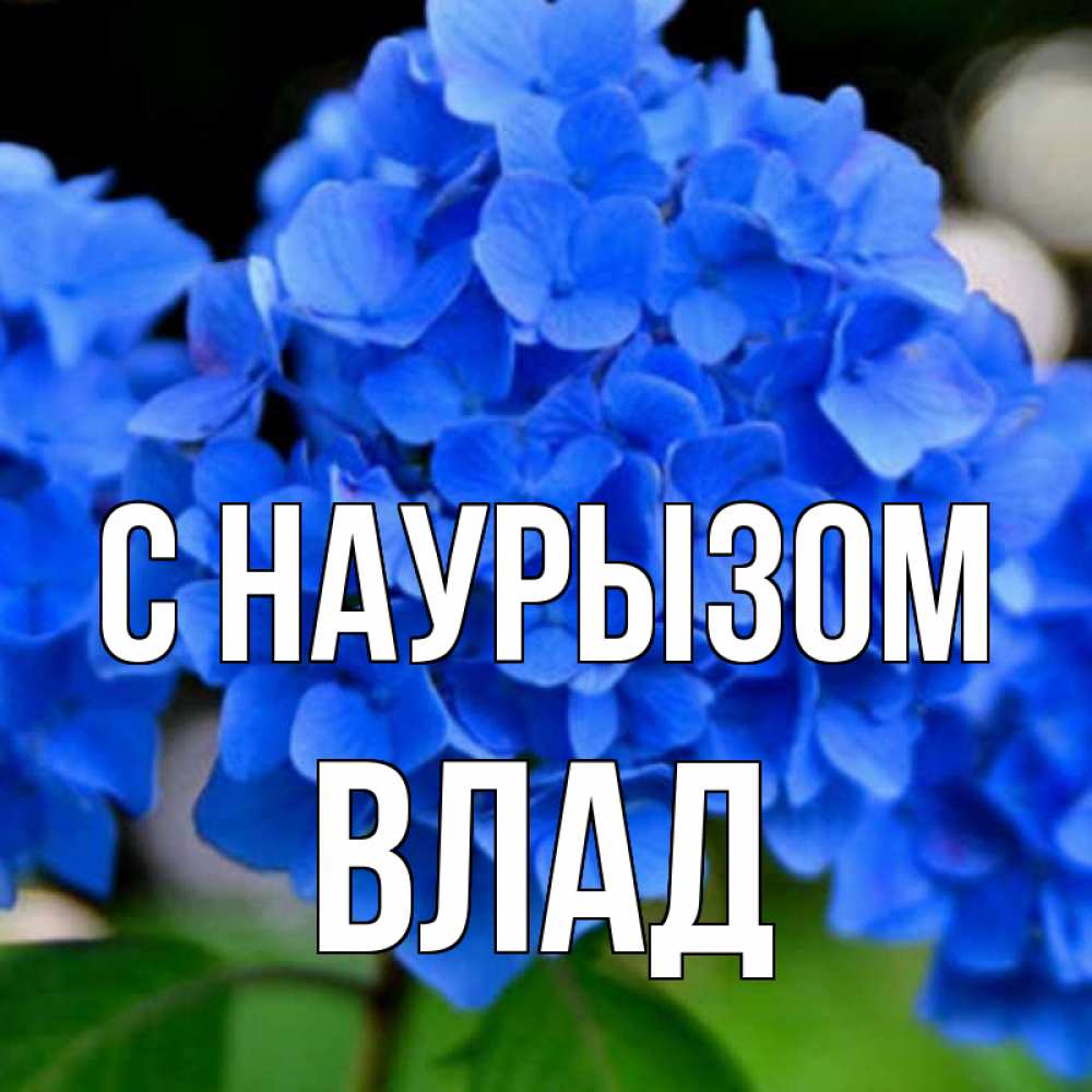 Картинка С наурызом, Влад