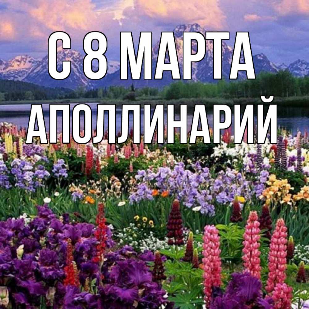 Открытка на каждый день с именем, Аполлинарий С 8 МАРТА международный женский день Прикольная открытка с пожеланием онлайн скачать бесплатно 