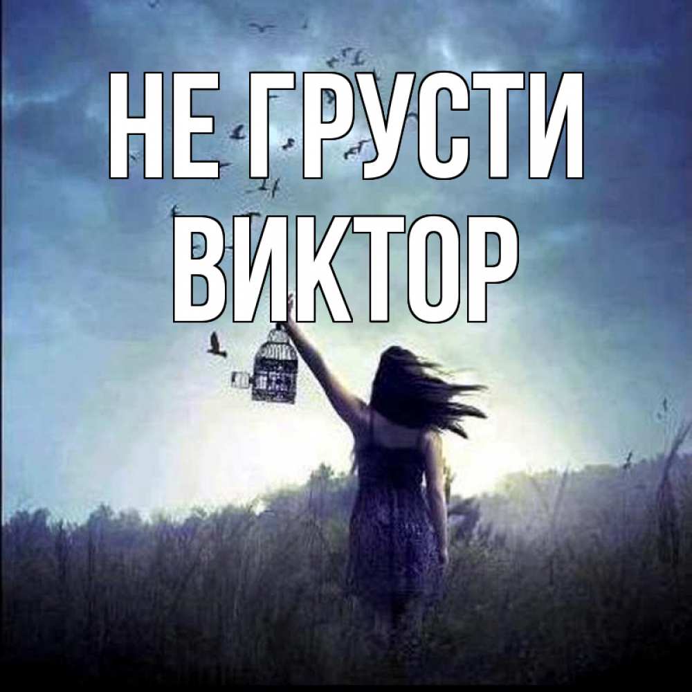 Открытка на каждый день с именем, Виктор Не грусти на волю Прикольная открытка с пожеланием онлайн скачать бесплатно 