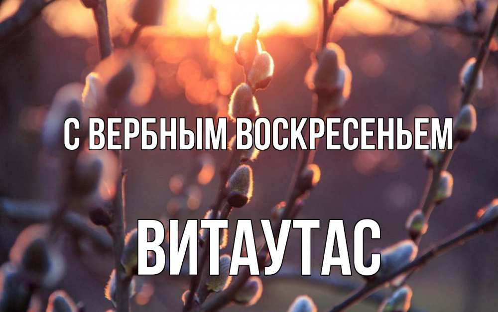 Открытка на каждый день с именем, Витаутас С вербным воскресеньем верба Прикольная открытка с пожеланием онлайн скачать бесплатно 