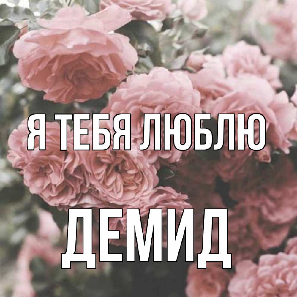 Открытка на каждый день с именем, Демид Я тебя люблю розы 3 Прикольная открытка с пожеланием онлайн скачать бесплатно 